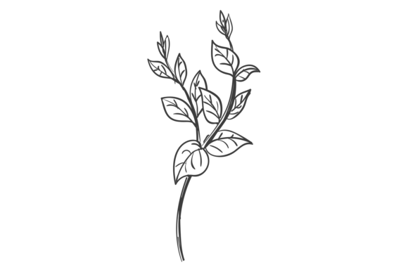 Botanical Element: Elevate Your Visuals with Natural Decorative Sketch