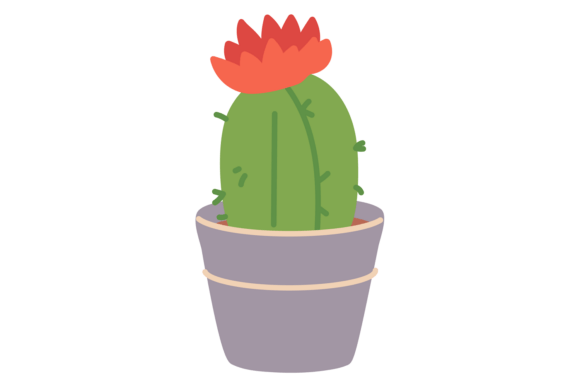 Cacti Flower Houseplant: Your Decorative Home Design Secret