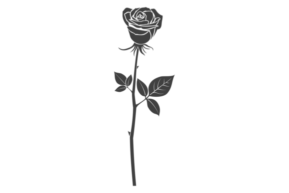 Decorative Floral Ornament Element. Rose: A Guide to Elegant Design