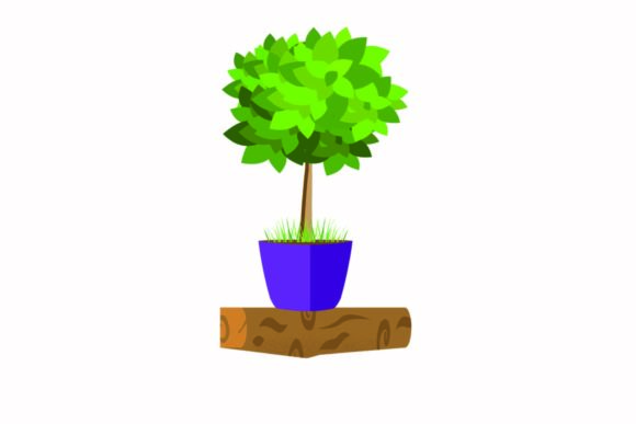Decorative Plants for the Inside House: Elevate Your Design Projects