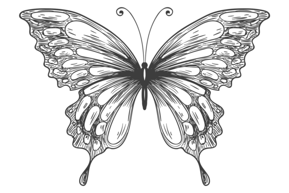 Romantic Butterfly Engraving: Decorative Wings for Timeless Design